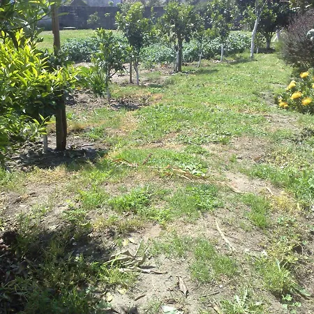 Room Villa Ribeiro Pilgrims Way To Santiago Bike A Garage For Marinhas Esposende Exterior photo