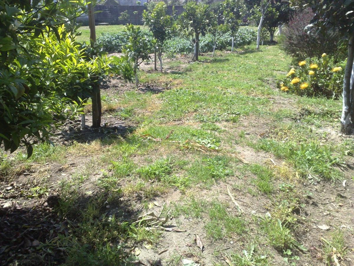 Ribeiro Pilgrims Way To Santiago Bike A Garage For Marinhas Homestay Esposende