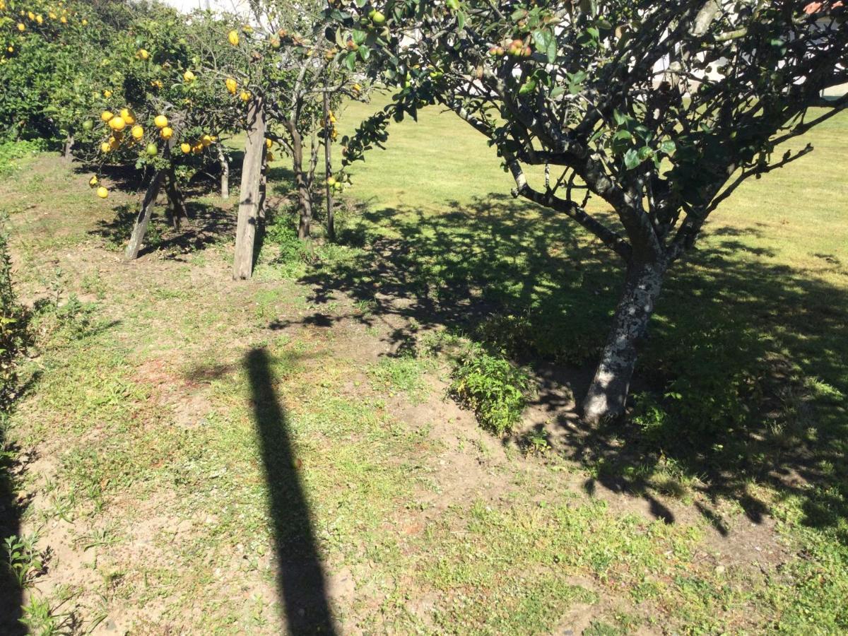 Alloggio in famiglia Ribeiro Pilgrims Way To Santiago Bike A Garage For Marinhas Esposende
