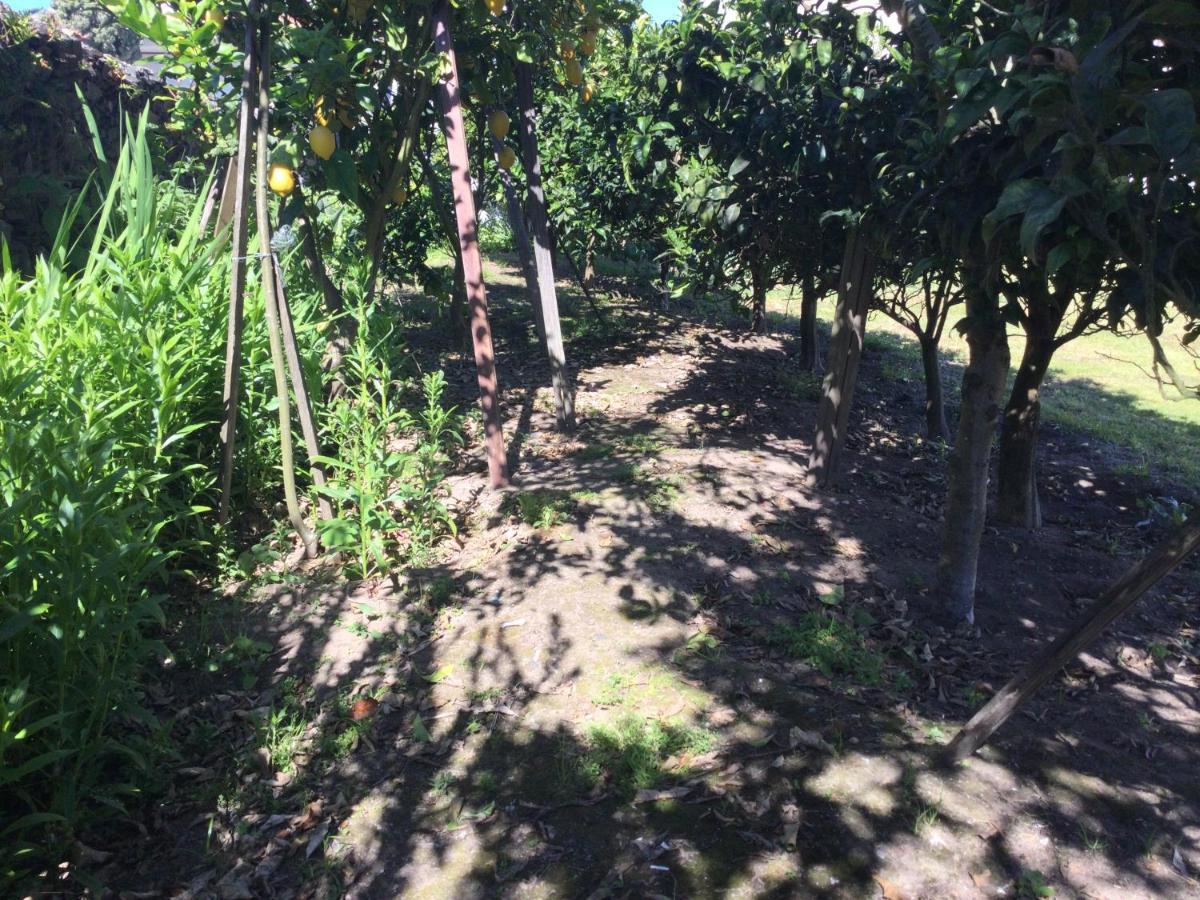 Ribeiro Pilgrims Way To Santiago Bike A Garage For Marinhas Homestay Esposende